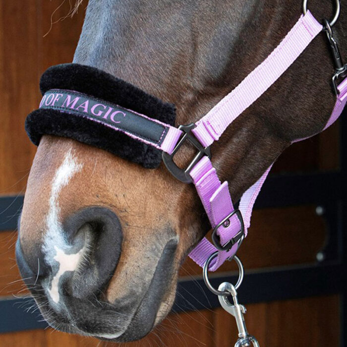 Harry's horse Grime - It's a kind of magic - Billede 2