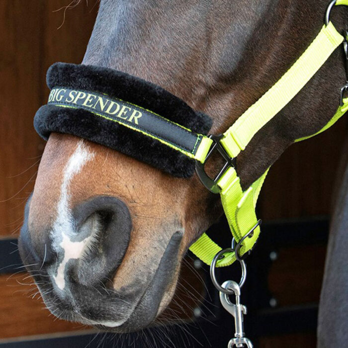 Harry's horse Grime - Hey big spender - Billede 2