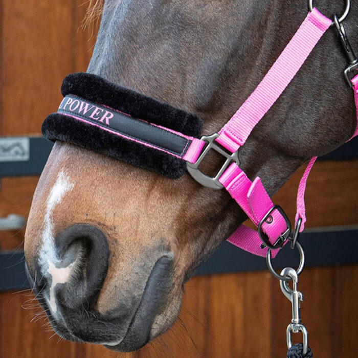 Harry's horse Grime - Girl Power - Billede 2