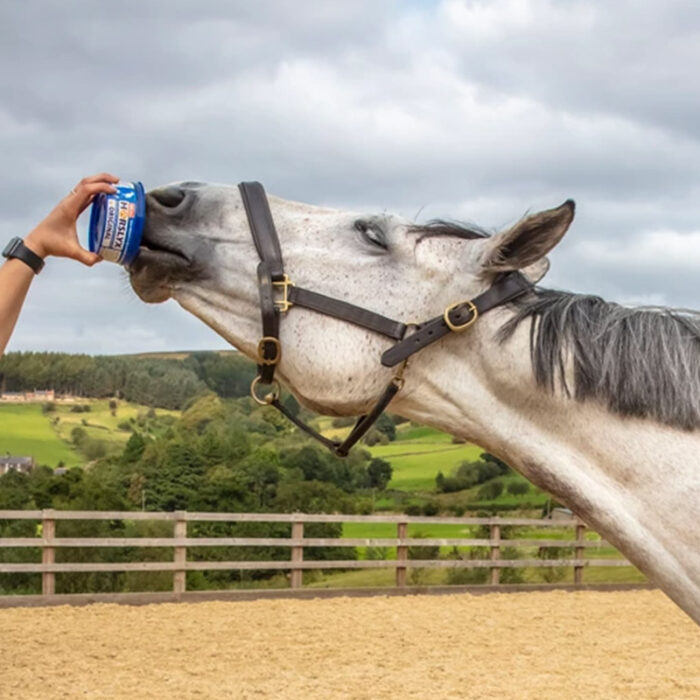 Horslyx Mini sliksten - Digest - Billede 5