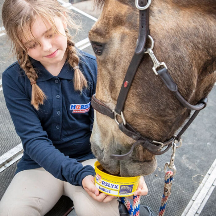 Horslyx Mini sliksten - Digest - Billede 2