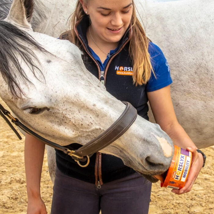 Horslyx Mini sliksten - Digest - Billede 3