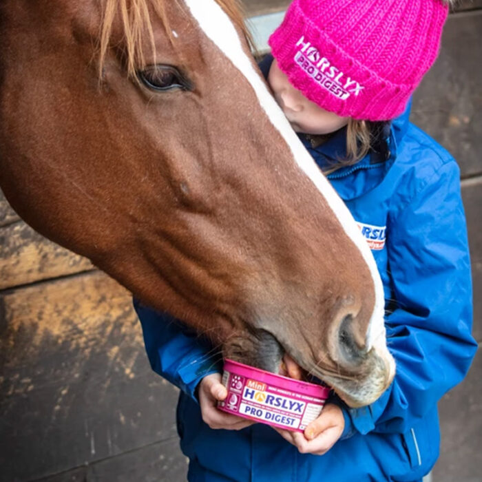Horslyx Mini sliksten - Digest - Billede 4