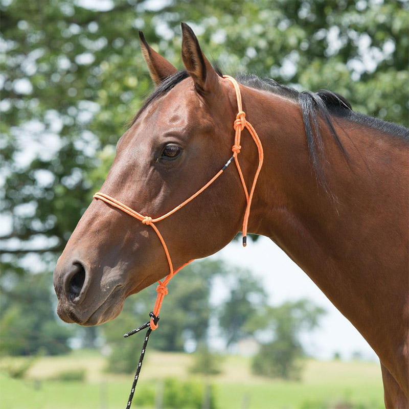 Weaver Silvertip Reflective Rebgrime flere farver - Billede 2