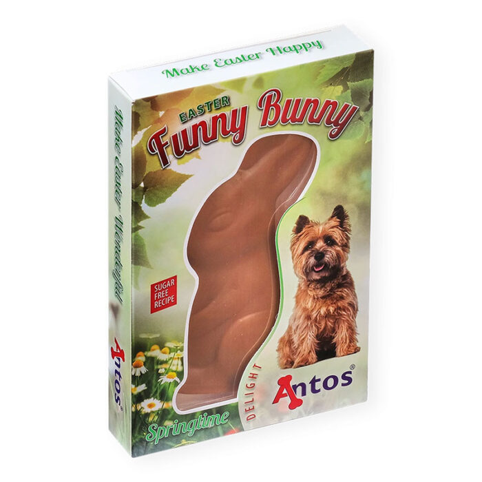 Antos Easter Funny Bunny