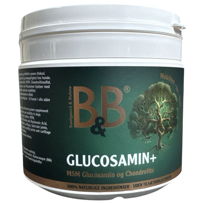 B&B Glucosamin +