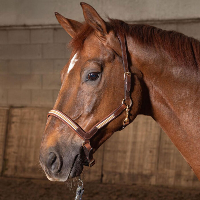 Harry's Horse Lædergrime Flash - Billede 2