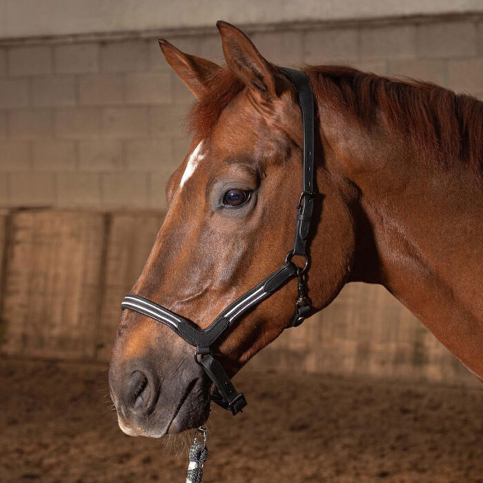 Harry's Horse Lædergrime Flash - Billede 3
