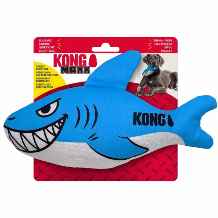 Kong Maxx Shark
