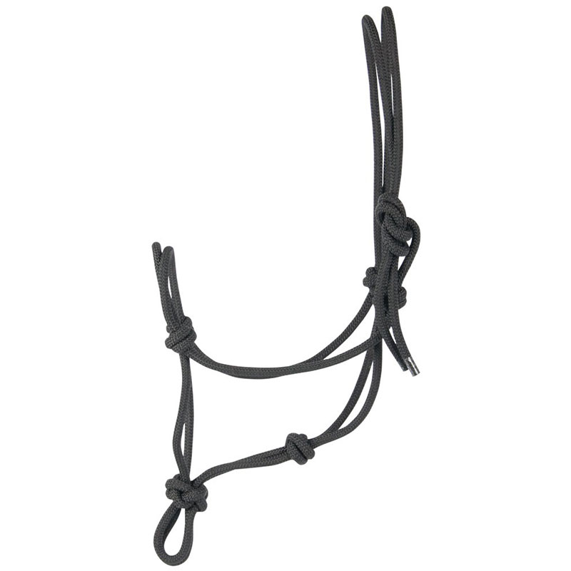 Harry's Horse sort rebgrime