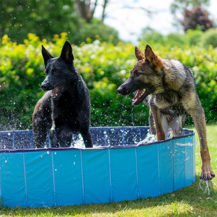 Ozami Dog Pool - Billede 2