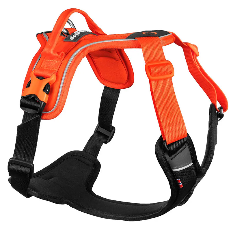 Non-stop Ramble harness - Orange/sort
