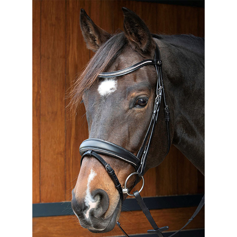 Harrys Horse hovedtøj Petit Crystal - Billede 2