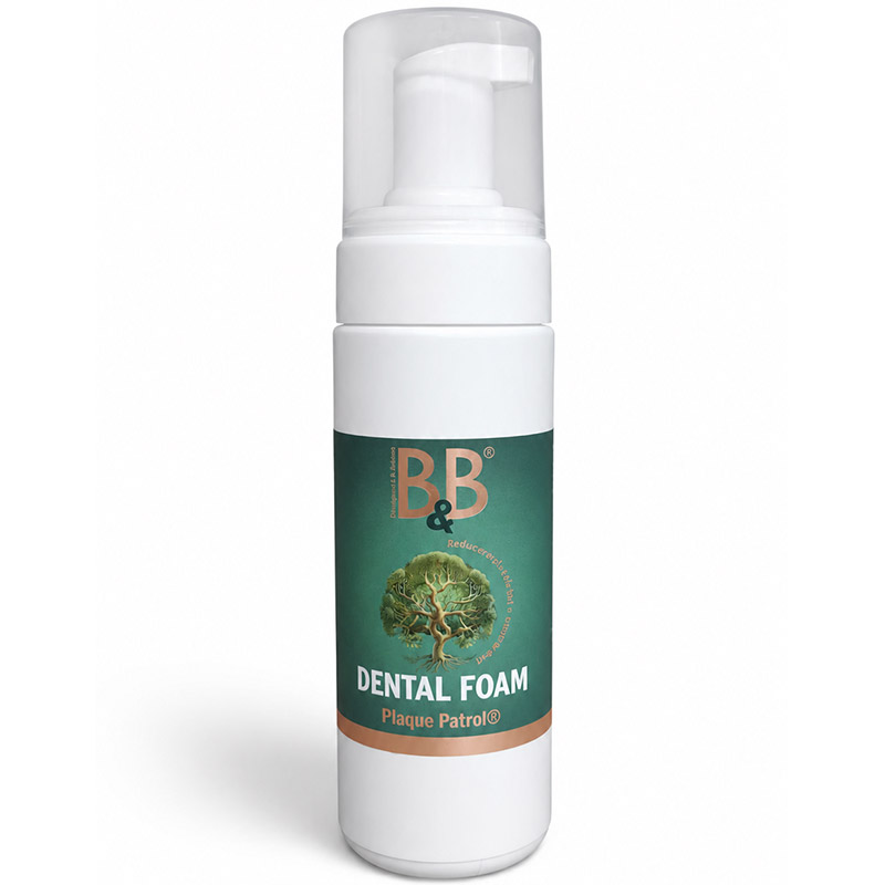 B&B Plaque Patrol® Dental Foam